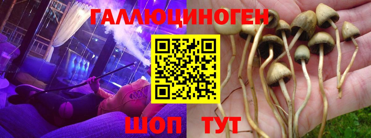 Галлюциногенные грибы ЛСД  Вход с VPN  Павлово 